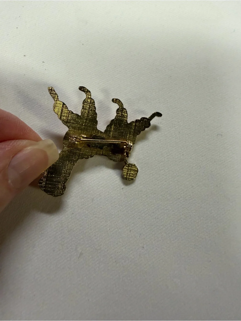 N/A cute poodle
